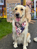 ReadyForBandana | Velvet  | Meadow