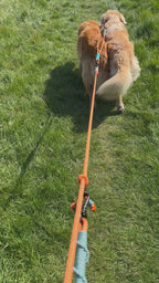 Ready42Dogs | 4in1Multifunctional Leash | Hexagon