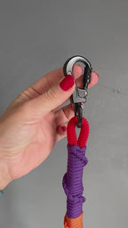 ReadyForShort | Leash | Confetti