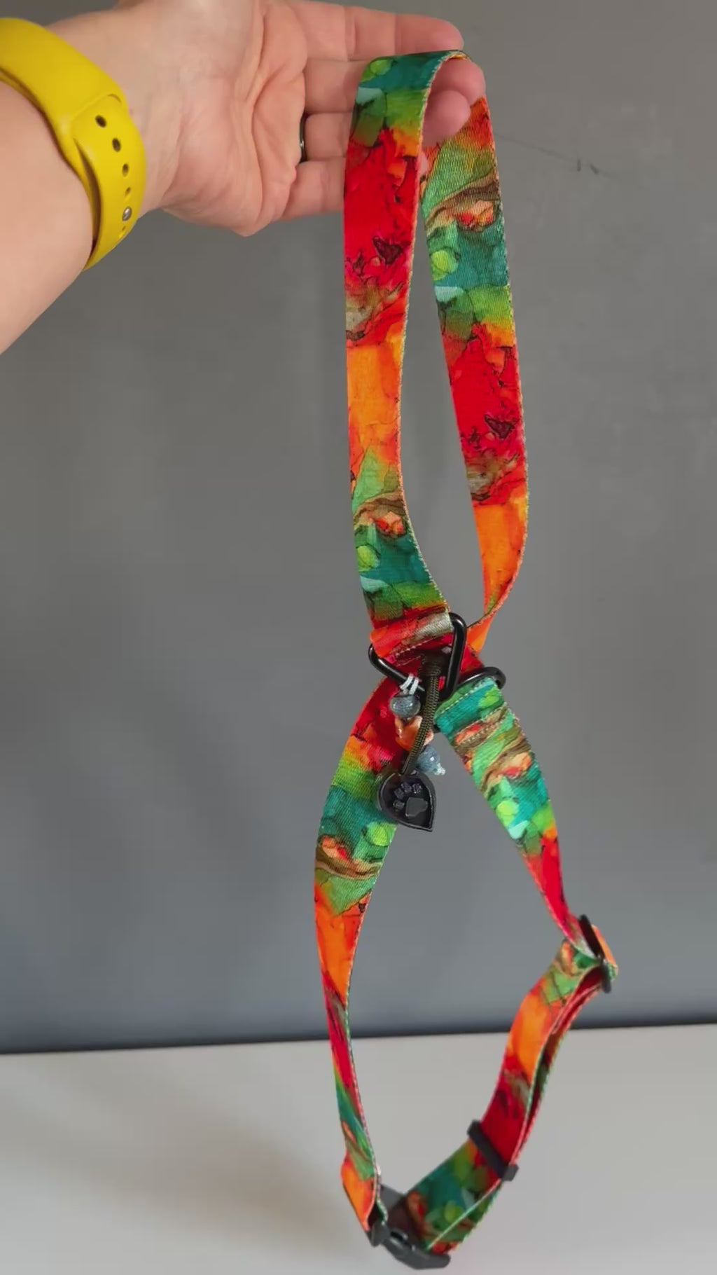 ReadyForHarness | Energy