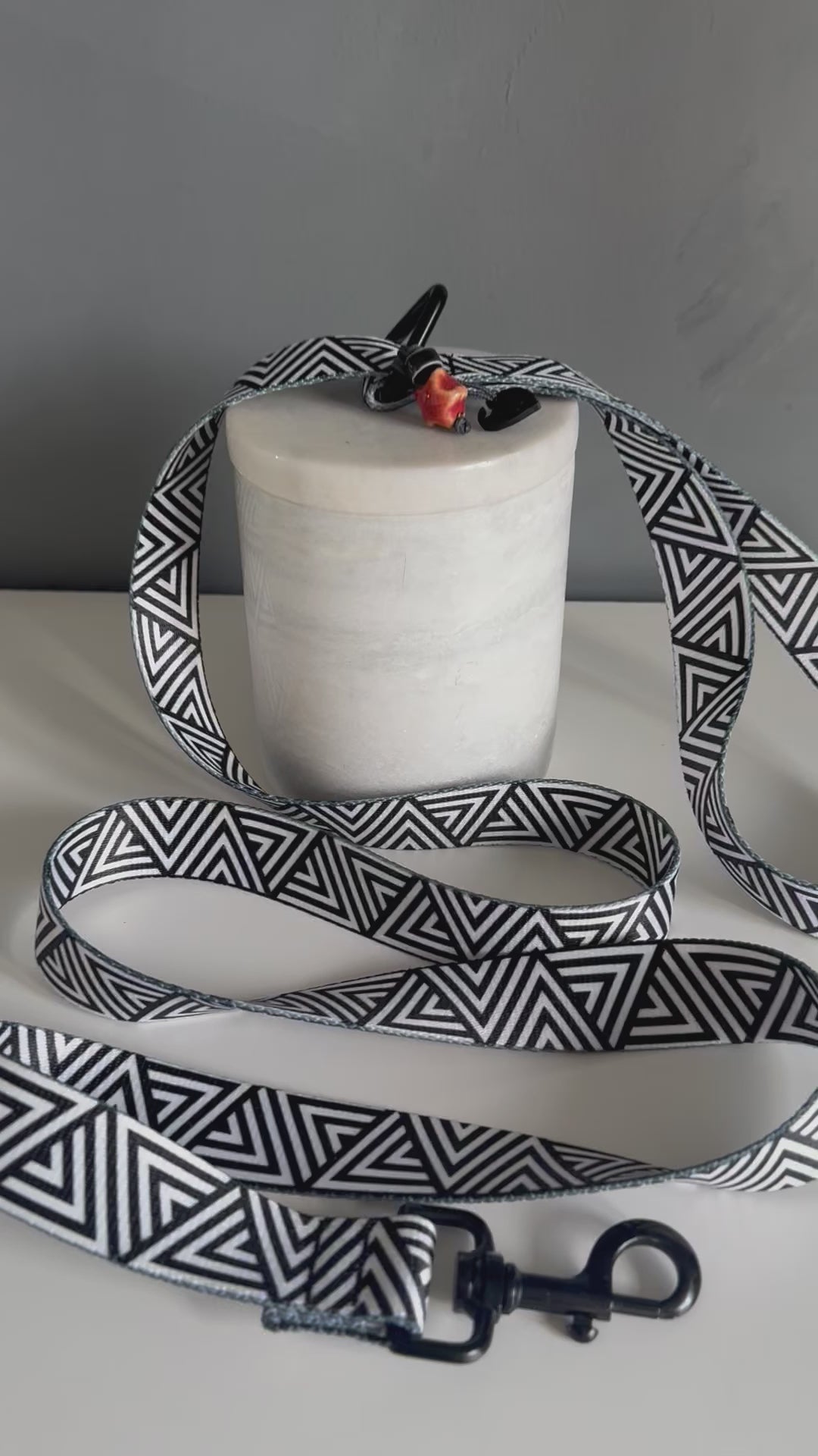 ReadyForWalk | Traditional Leash | Black&White