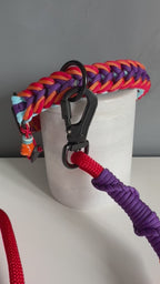 ReadyForShort | Leash | Confetti