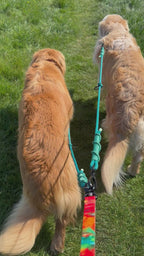 Ready42Dogs | 4in1Multifunctional Leash | Energy