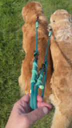Ready42Dogs | 4in1Multifunctional Leash | Energy