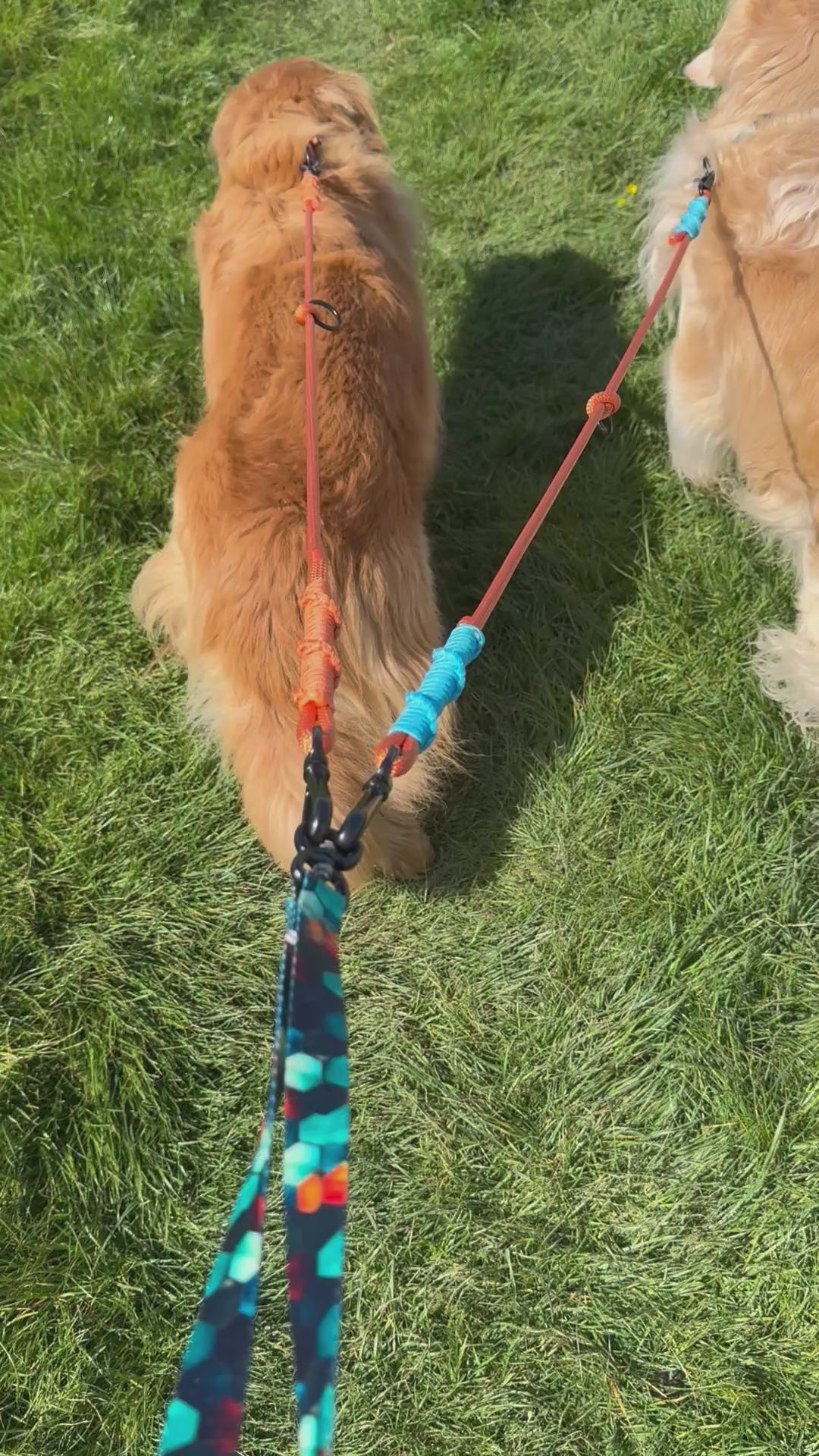 Ready42Dogs | 4in1Multifunctional Leash | Hexagon