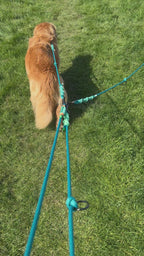 Ready42Dogs | 4in1Multifunctional Leash | Energy