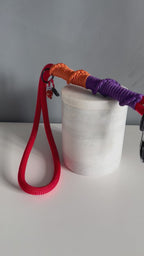ReadyForShort | Leash | Confetti
