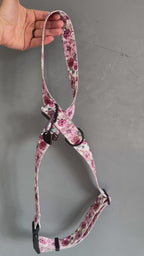 ReadyForHarness | Meadow