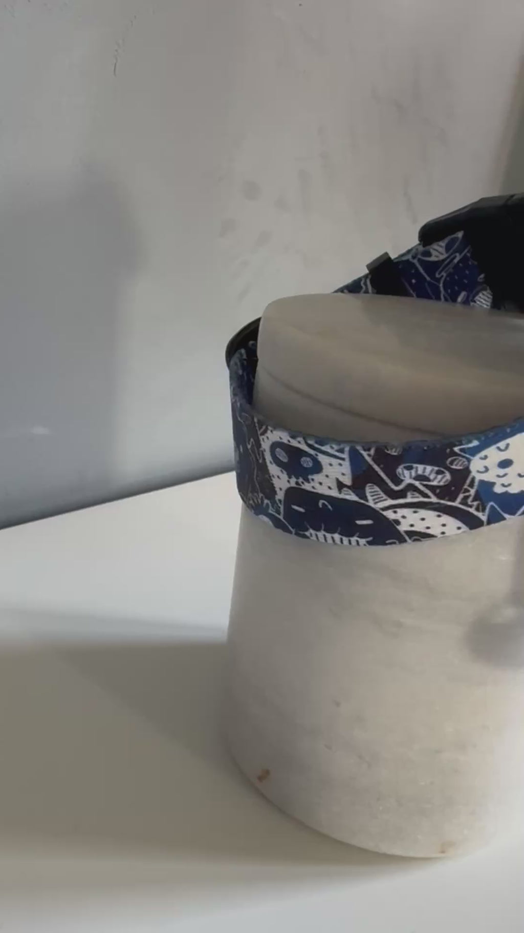 ReadyForBuckle | Collar | Monsters