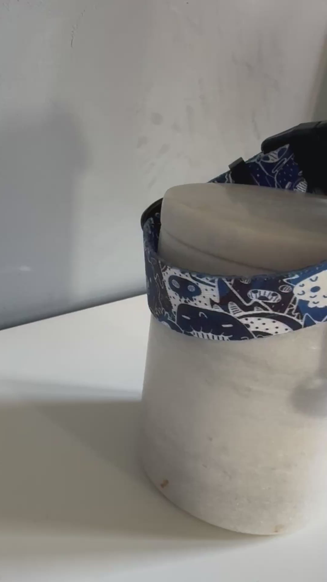 ReadyForBuckle | Collar | Monsters