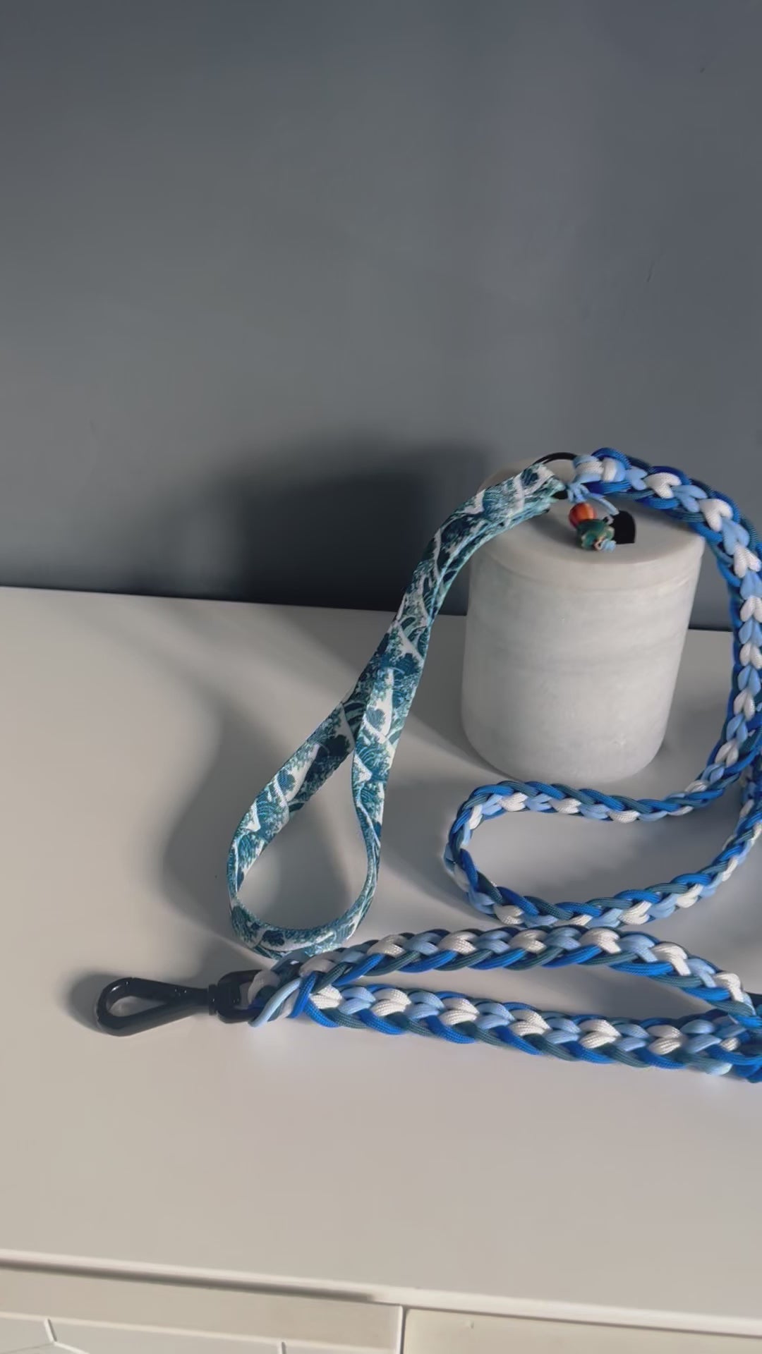 ReadyForFusion | Braided Leash | Wave